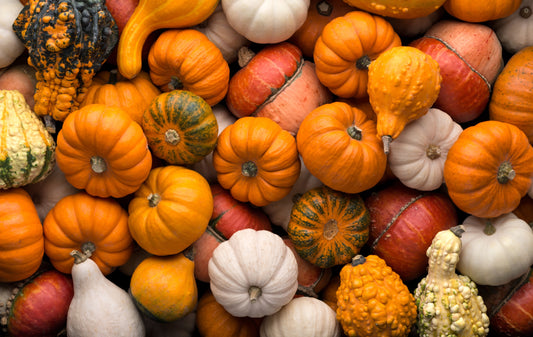 Baby-Safe Pumpkin Recipes for a Festive Fall