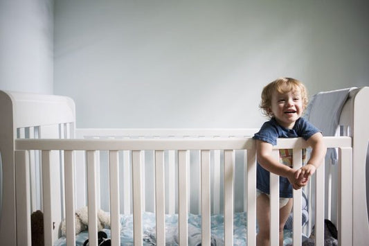 Building the Perfect Nursery: Themes and Colors