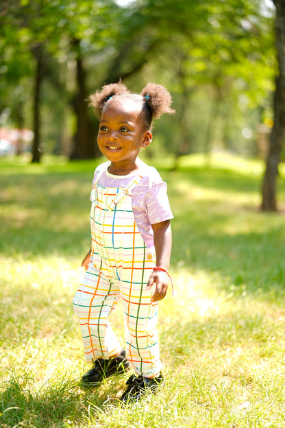 Picnic Party Overalls